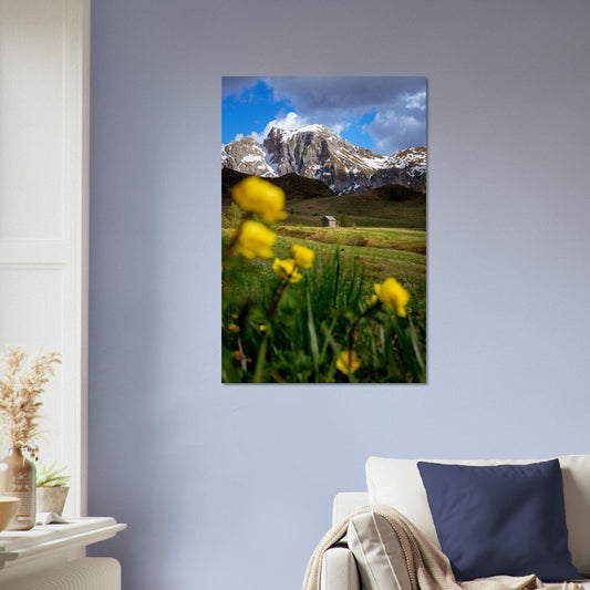 Yellow Flow on the field frame