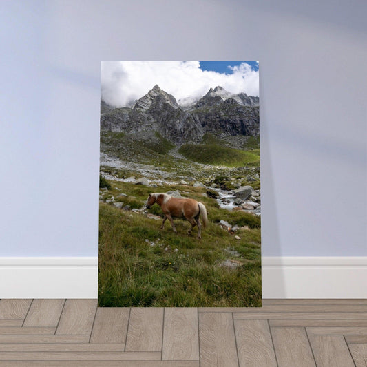 Majestic Horse - Linked Frame