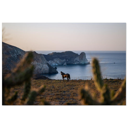 Horse by the Sea - Linked Frame
