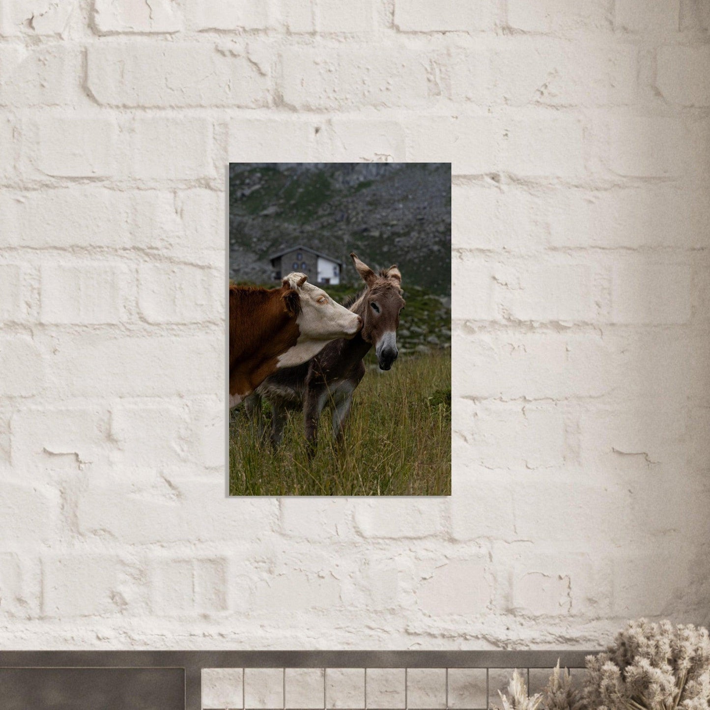 Cow and Donkey - Linked Frame