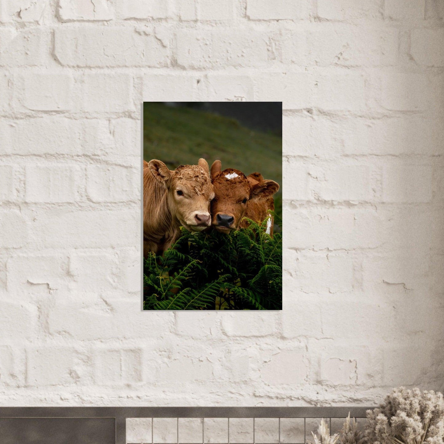 Cute Cows - Linked Frame