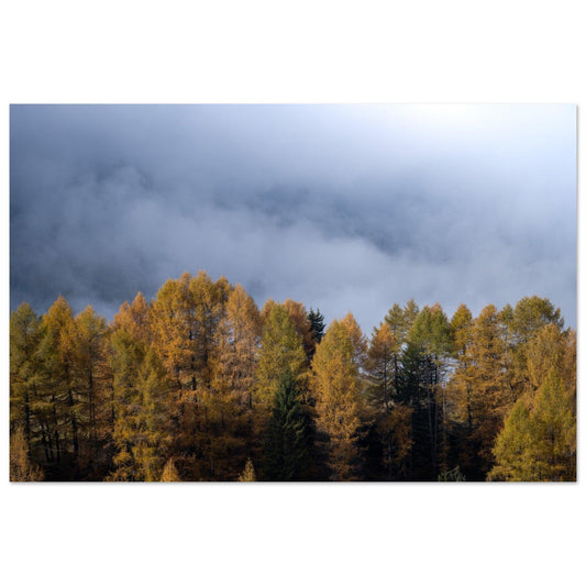 Autumn Hues - Linked Frame