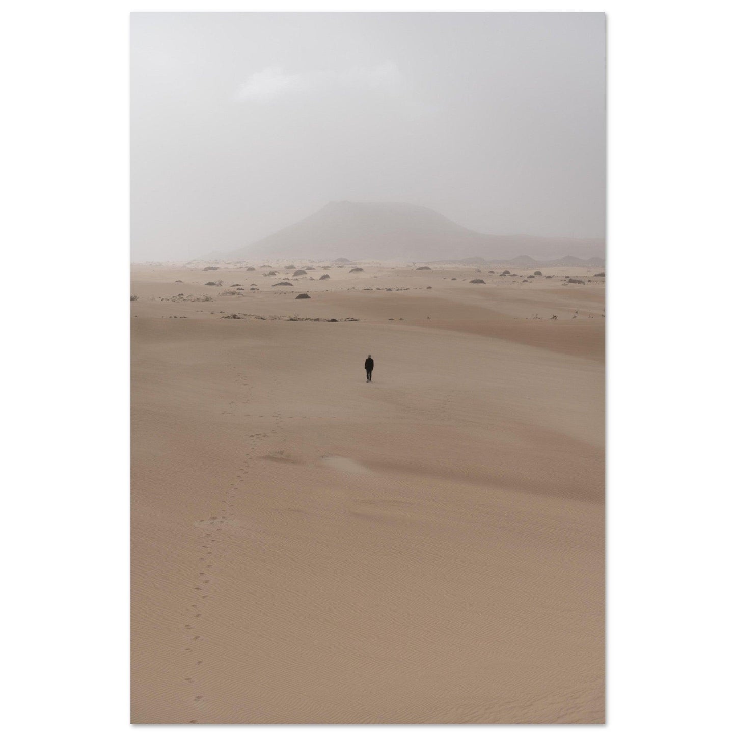 Sahara Of West - Linked Frame